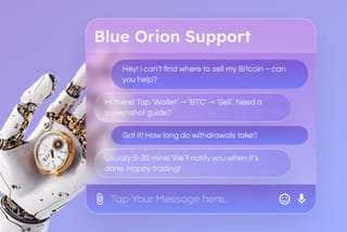 Customer support and assistance for crypto at DigitalVaultis BN